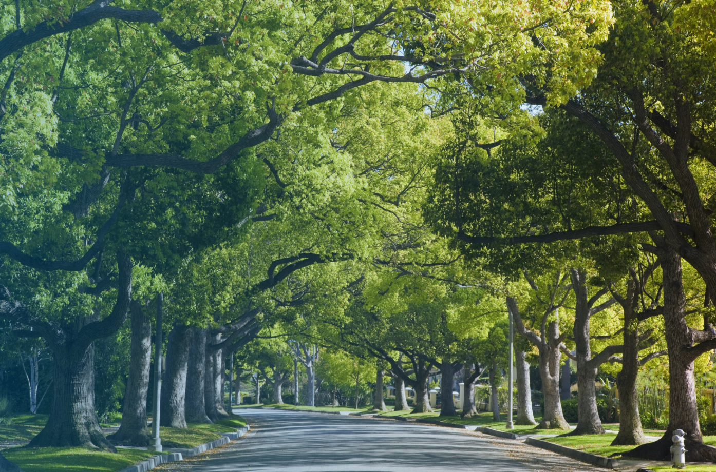 Time for a tree-change? Here are some of the hottest suburbs to make your move