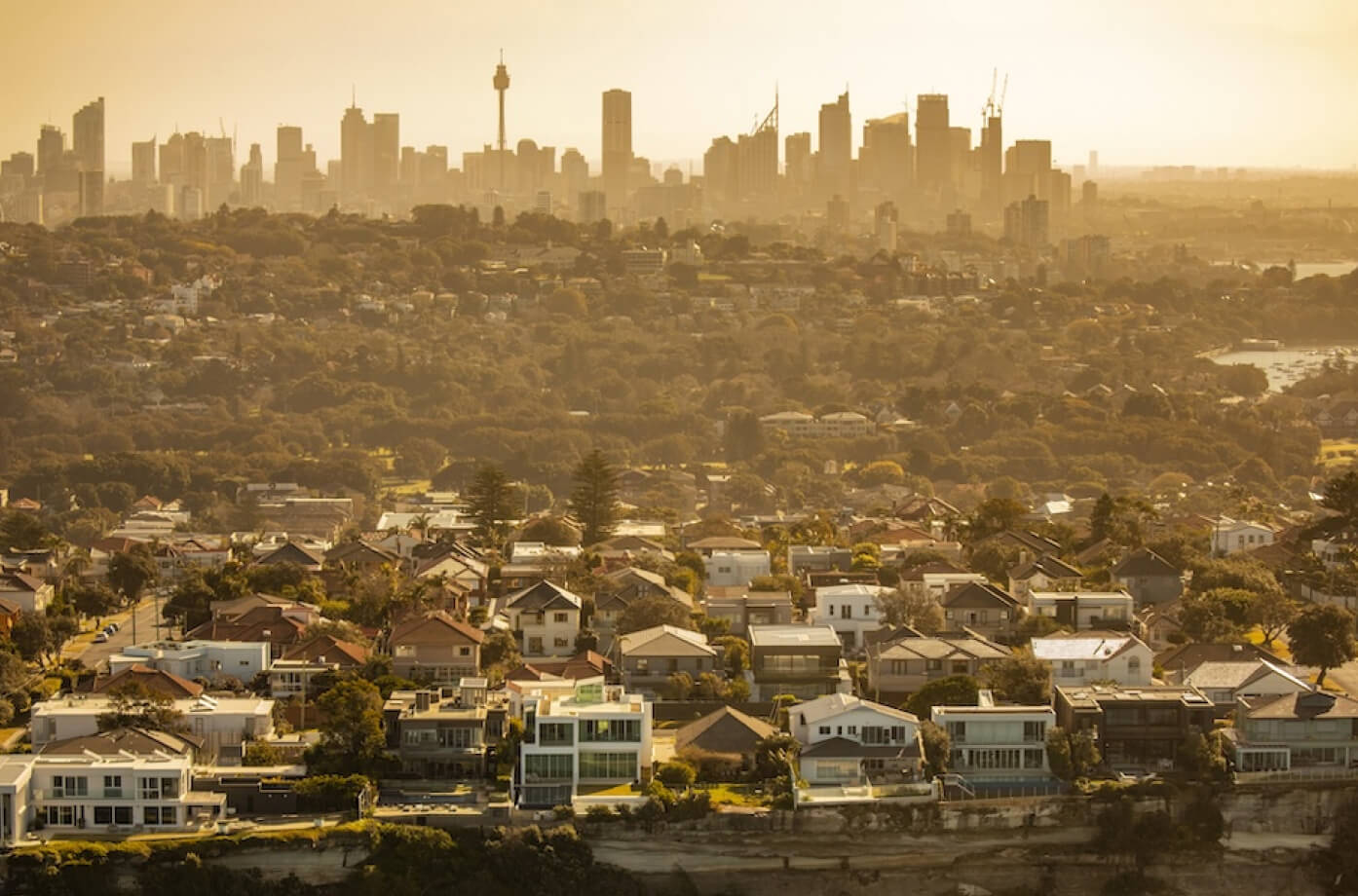 Affordable and premium suburbs lead buyer interest surge