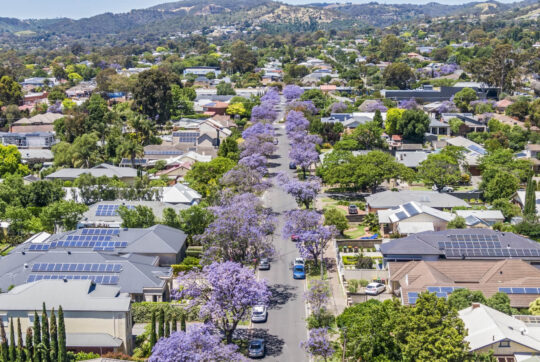 How the latest interest rate cut will shape the spring housing market